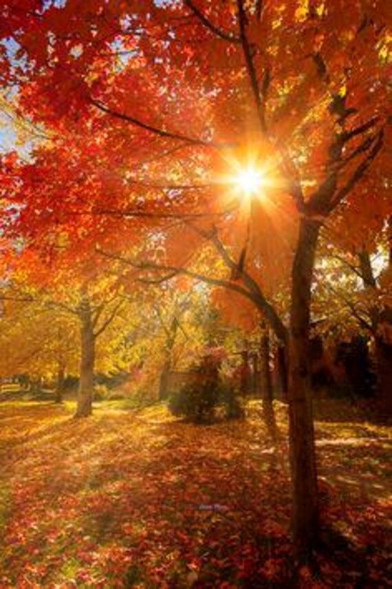 Fall 2025